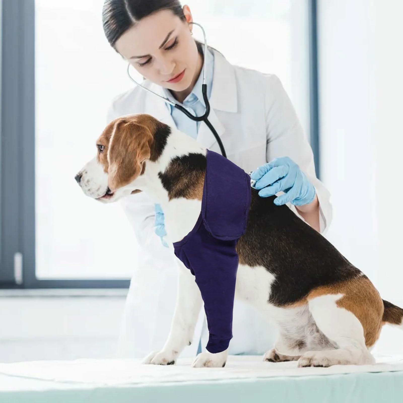 Joyan Tuta Postoperatoria per Cane, Ginocchiera e Fascia Elastica per Gamba e Gomito, Supporto Ferite Addominali, Anti-Leccatura, Recovery Sleeve Cane, Protettore Cutaneo, Blu (L)
