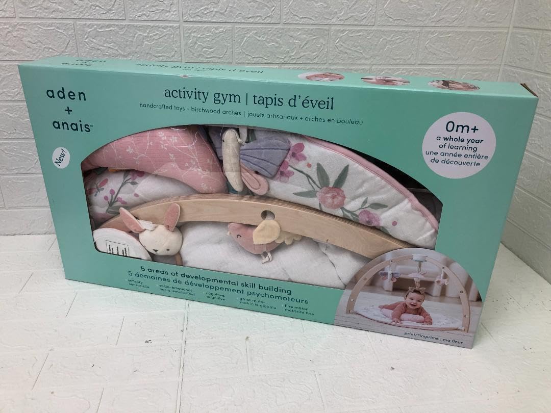 新品50弁トトロの3曲♪トトロ♪さんぽ♪風の通り道 オルフェウス520