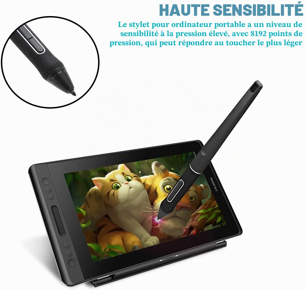 Stylet pour Tablette Graphique PW507, Stylo Numérique Ergonomique 8192 Niveaux de Pression, 2 Boutons Personnalisés pour Kamvas Pro 12 Pro 13 Pro 16 20