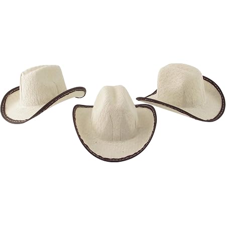 Amazon.com: Mini Cowboy Rodeo Hats, 2 