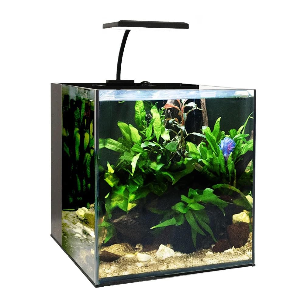 Swell Aquarium Fish Tank Aquaventure Plus 25cm (Black - With Heater)
