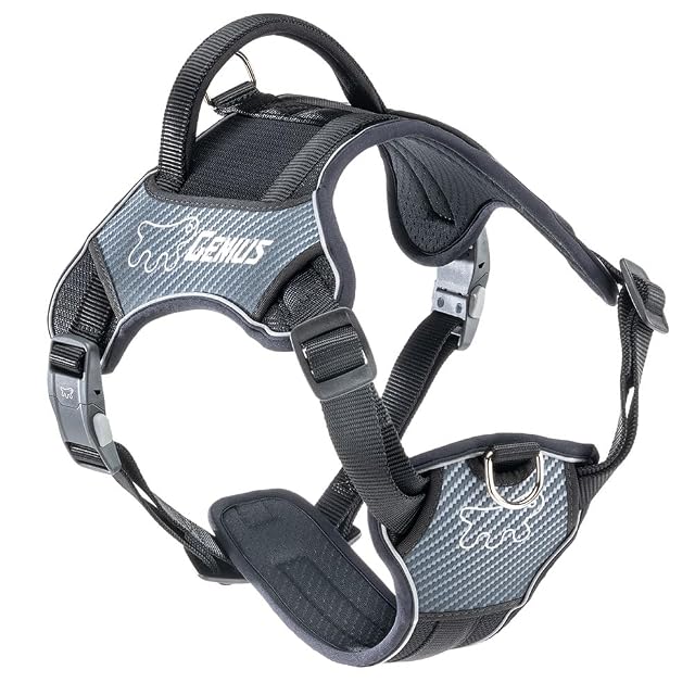 Ferplast Arnés Perro Antitirones Antiescape, Asa Reforzada, Large, Negro