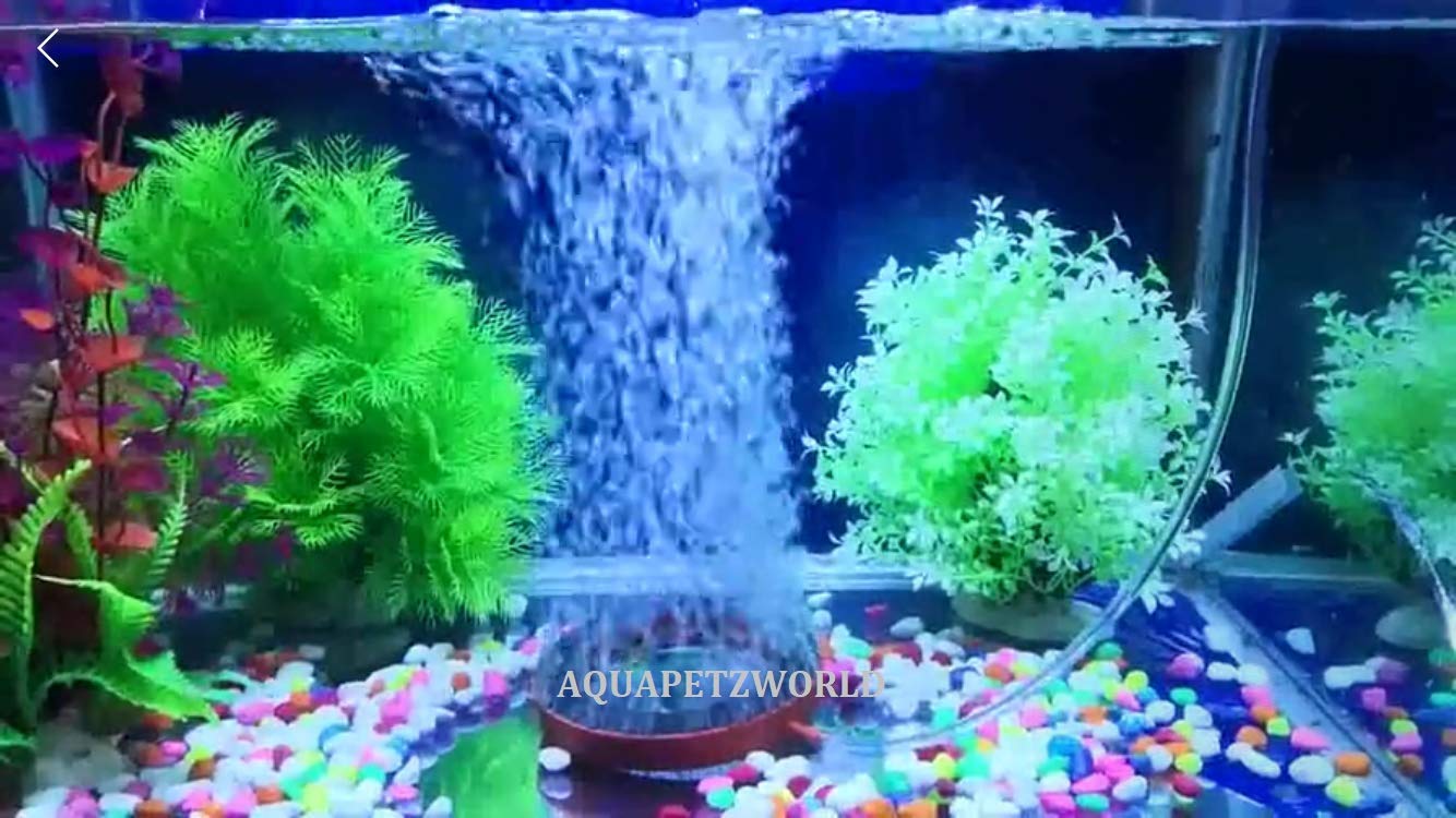 AQUAPETZWORLD Million Bubbles Air Oxygen Ring (Large Blue/Orange-5") Aquarium Air Stone (2 Stone) (B08DLN2VGQ) Amazon Price History, Amazon Price Tracker