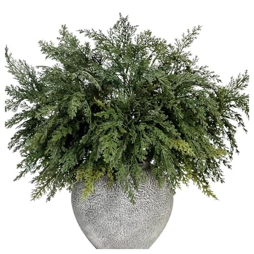 22 Inch Long Artificial Cedar Pine Branches Real Touch Pack of 5 Christmas Greenery Stems Faux Cypress Picks Cedar Tree Leaves Sprigs for Vase Fillers Winter Holiday Home Decoration (5, Green)