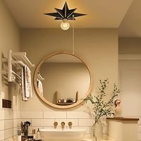 Vista 6 de Lámpara de techo de montaje al ras de 16 pulgadas con interruptor de cadena de tirar para encendido/apagado, luminarias de techo industriales