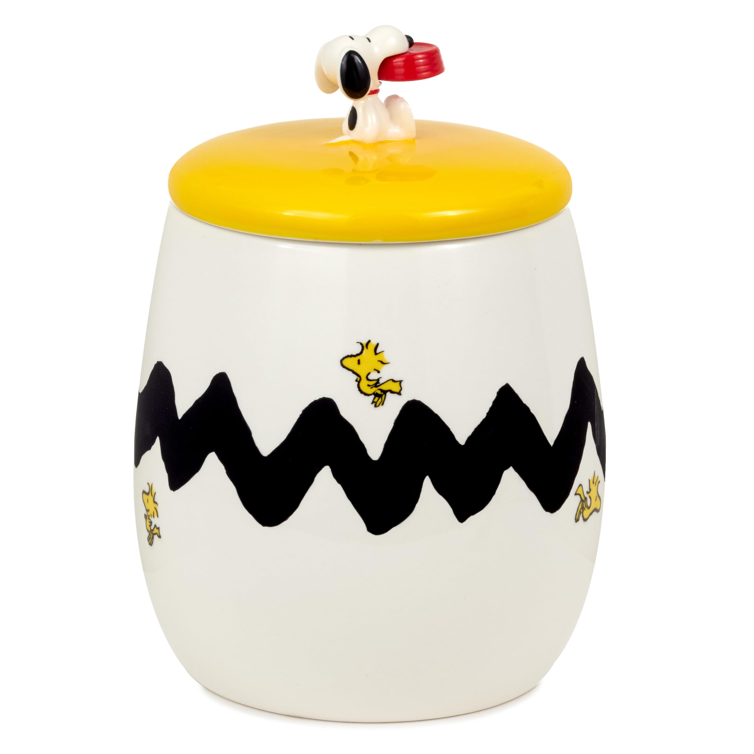 Amazon.com: Hallmark Peanuts Cookie Jar With Sound, 10