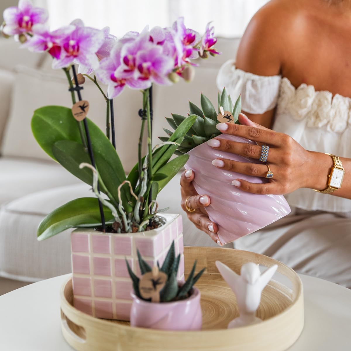 Orchidée rose Phalaenopsis - h35cm, Ø9cm - plante d'intérieur fleurie