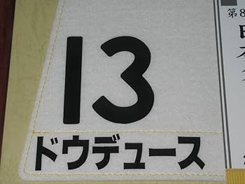 Amazon.co.jp: 第89回 日本ダービー ドウデュース額入り 優勝レイ付