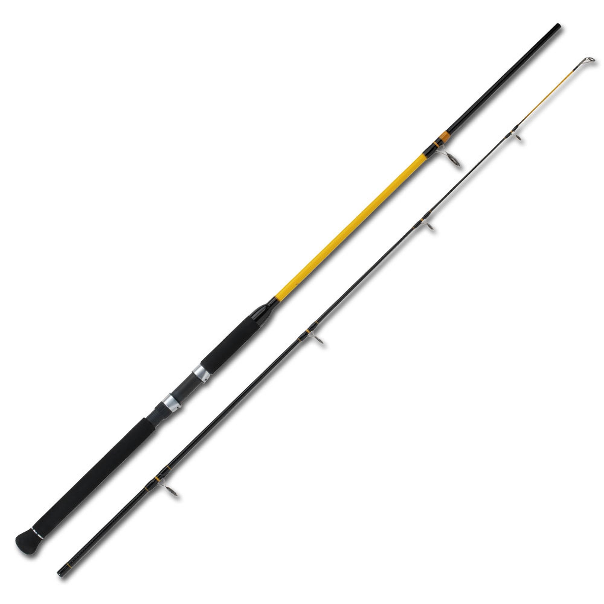 WFT Never Crack Heavy Spin 2,10m 100-400g Norwegen Rute