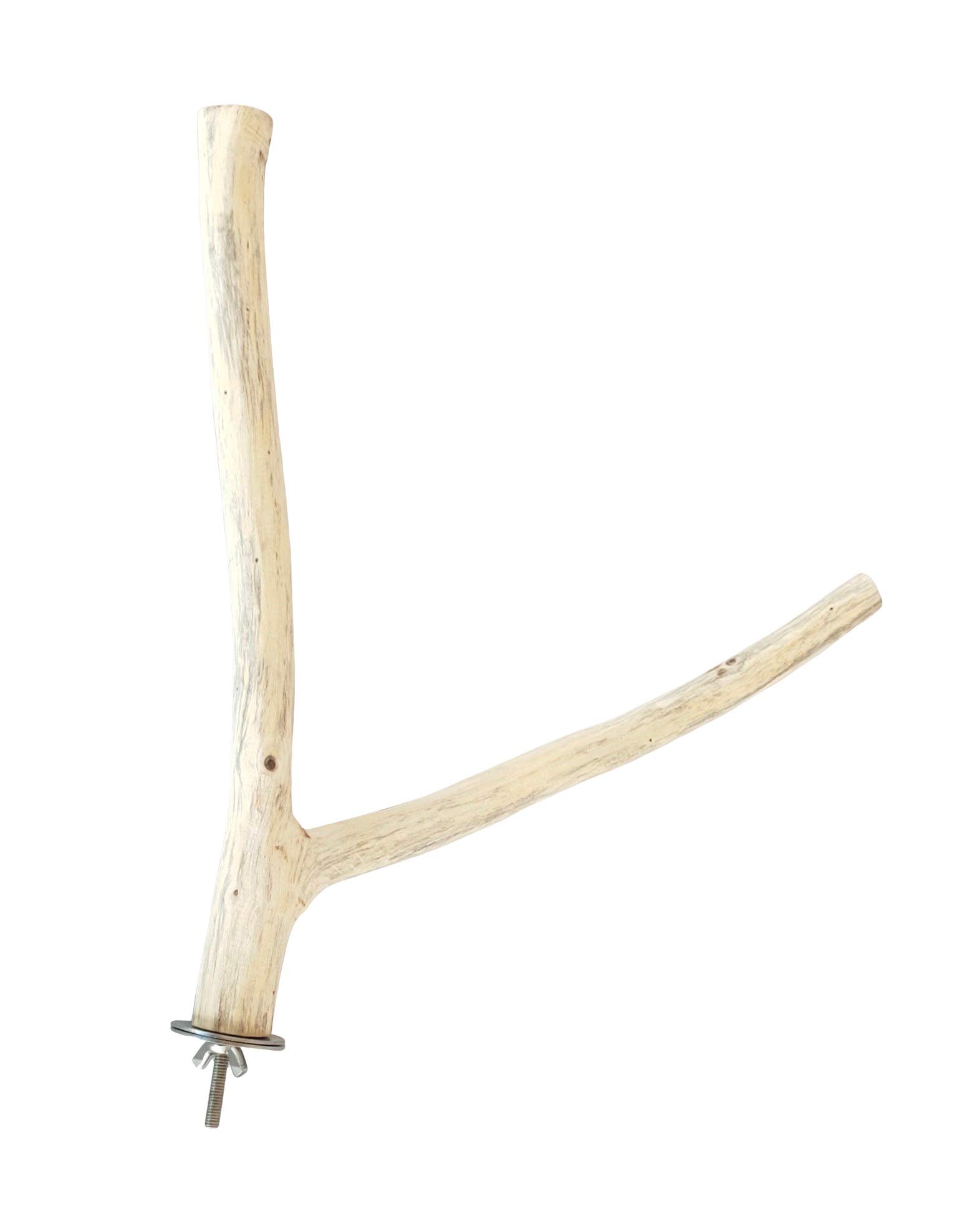 KSK Wooden Perch for Small Bird (B00X7D72FS) Amazon Price History, Amazon Price Tracker