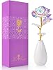 OEAGO Muttertagsgeschenk Geschenke für Mama Muttertagsgeschenk Personalisiert Galaxy Rose Blume mit Vase Geschenke von Tochter Sohn Mama Geschenk für Muttertag Weihnachten Valentinstag Geburtstag