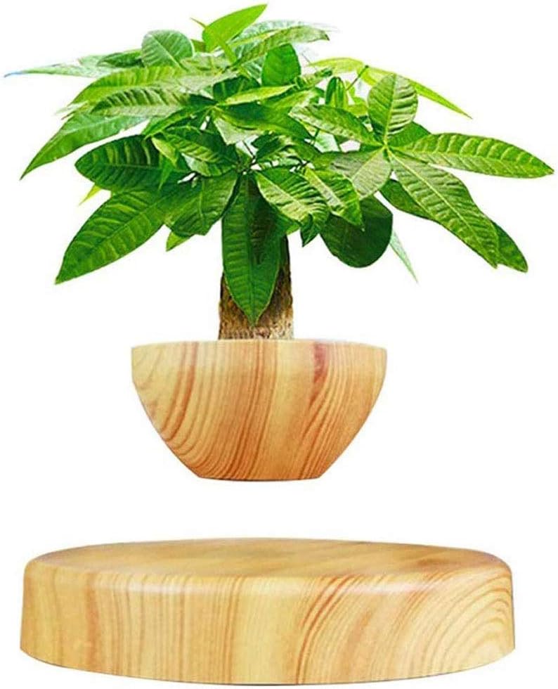 RANRANJJ Levitating Air Bonsai Pot - Magnetic Levitation Suspension Flower and Air Bonsai Pot