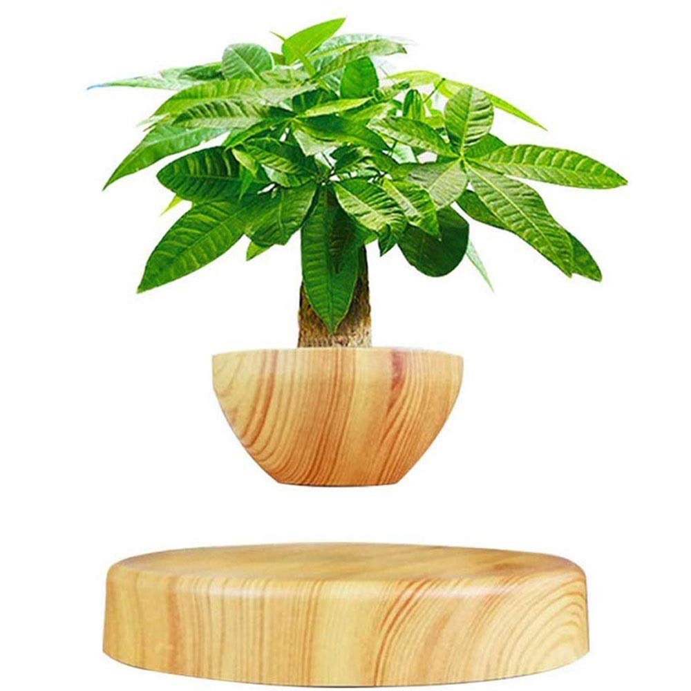 RANRANJJ Levitating Air Bonsai Pot - Magnetic Levitation Suspension Flower and Air Bonsai Pot