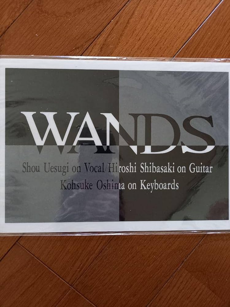 WANDS 下敷き