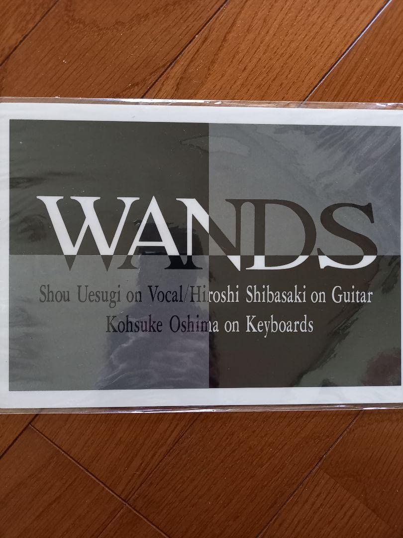 WANDS 下敷き WANDS 下敷き