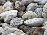Inhalt: 10 kg oder 25 kg Natur Zier Steine Deko abgerundet bunt Kies Aquarium Terrarium Garten Teich (10 Kg)