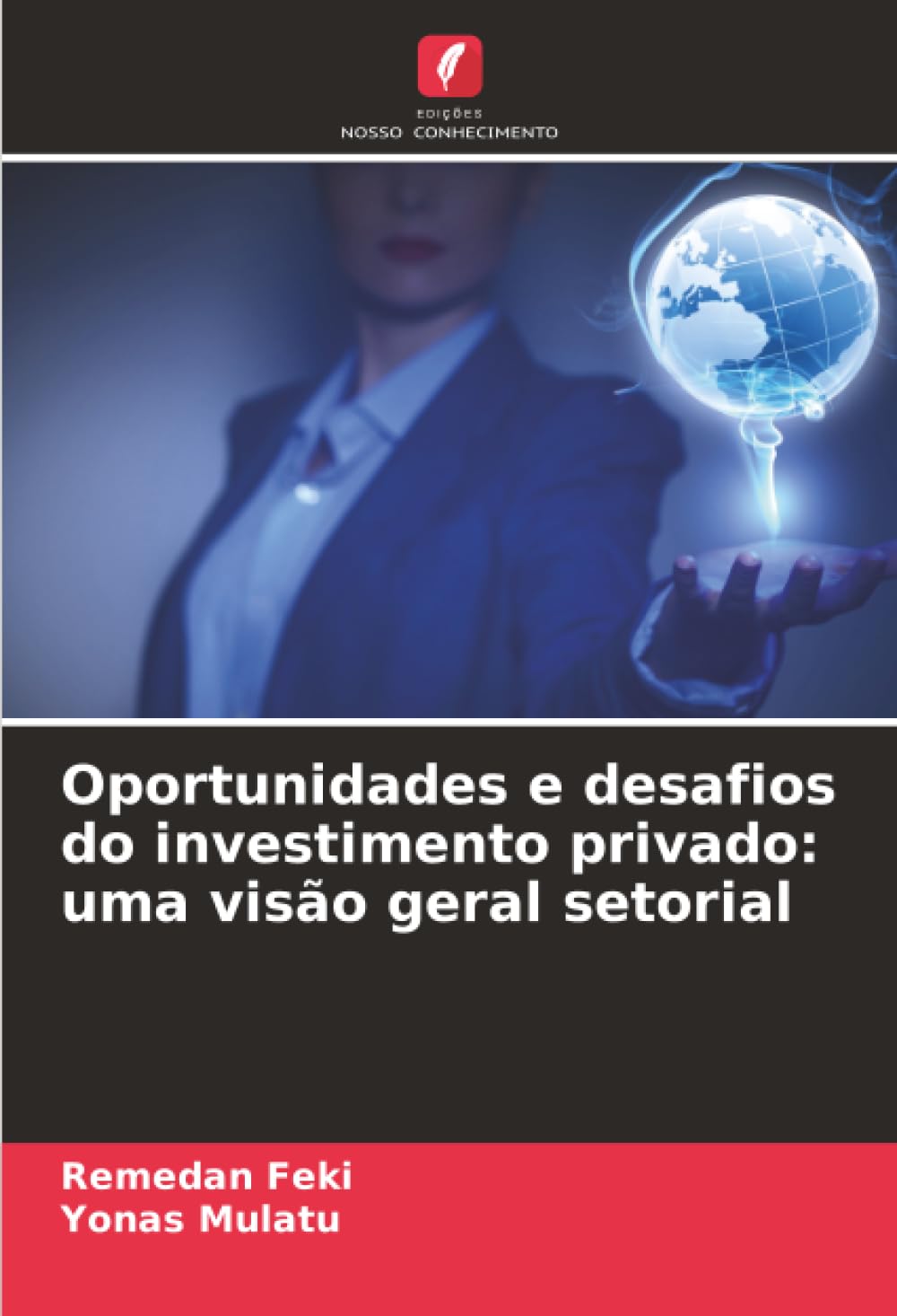 Oportunidades e desafios do investimento privado: uma visão geral setorial