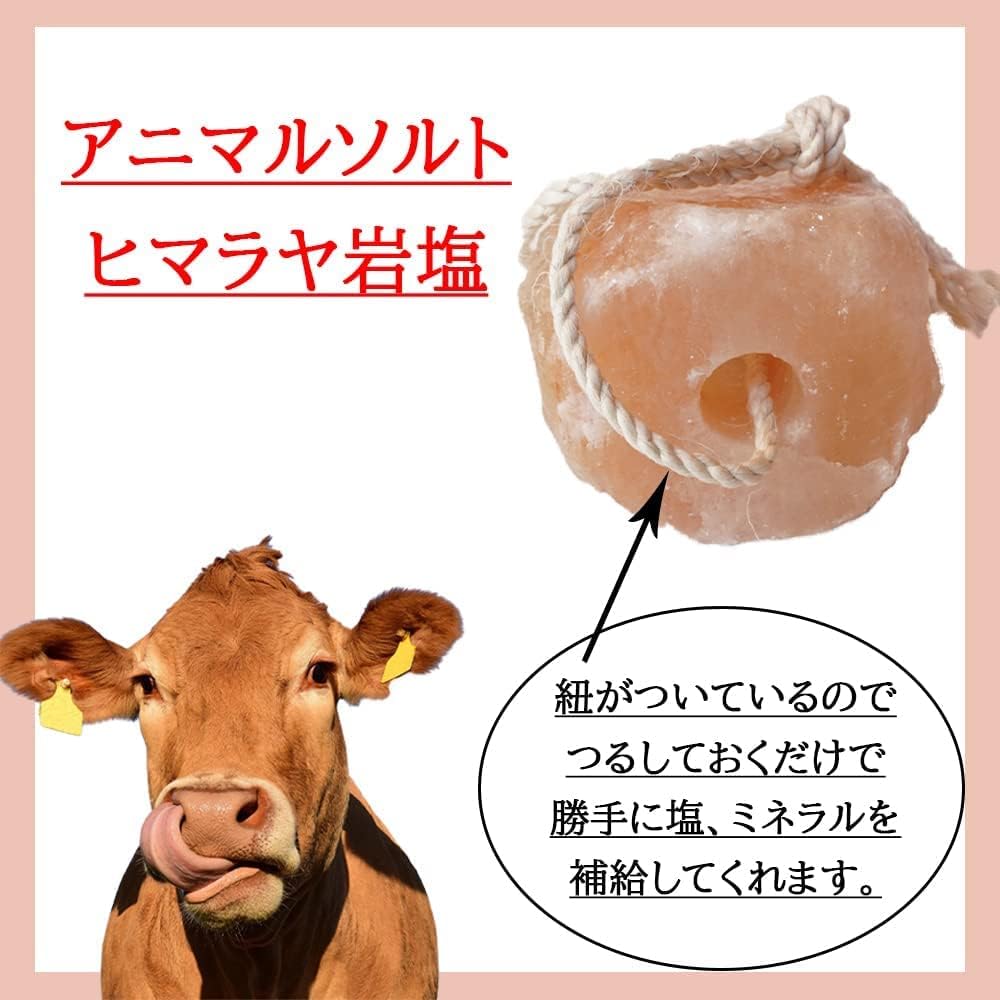 ミネラルソルト(鉱塩)◇酪農(乳牛用) 1箱(5kg×4ヶ)×60箱