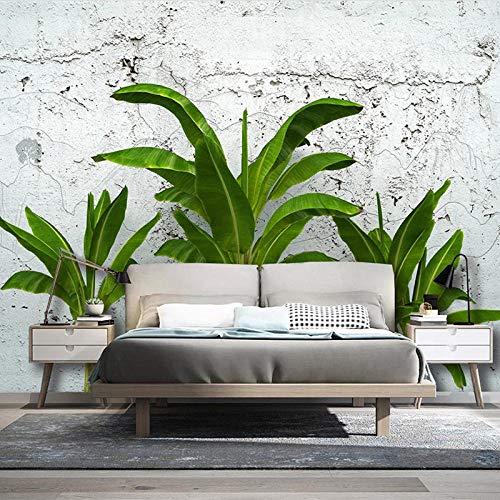 AMTTGOYY Photo wallpaper Wandbild 3D Fototapete Zementwand Bananenblatt Kreative Schlafzimmer Wohnzimmer Hintergrund Wandverkleidung Wohnkultur Modern-250x175cm Cover