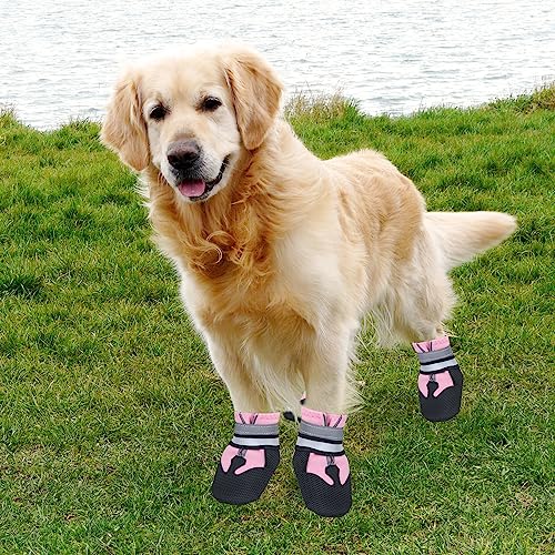 Avvrel Rutschfeste Hundeschuhe mit Reflexstreifen, wasserdichte Schutzschuhe für kleine bis mittlere Hunde (M, pink)