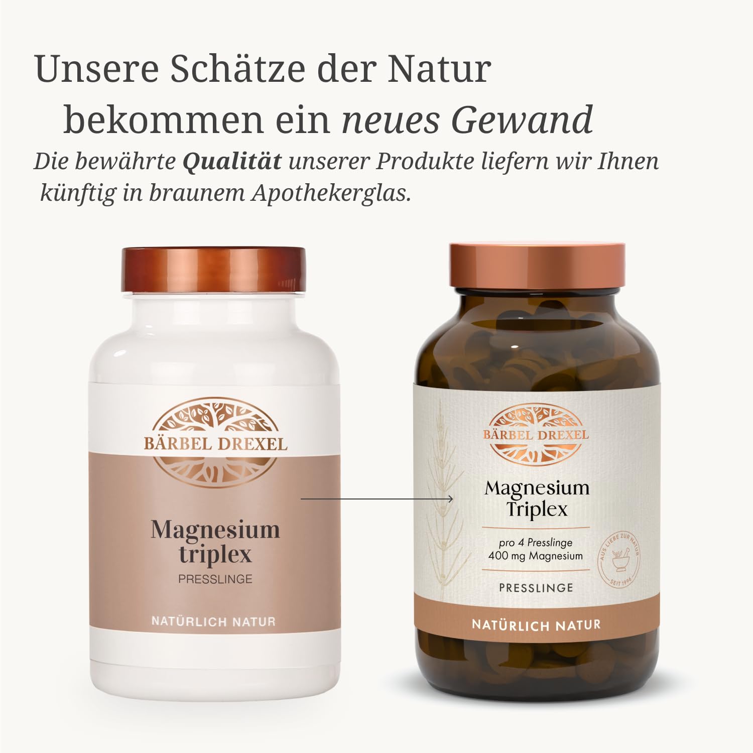 BÄRBEL DREXEL Magnesium Triplex Presslinge, Magnesium Komplex mit Magnesiumbisglycinat, Magnesiumcitrat & Magnesiumcarbonat, mit Brennnessel & Schachtelhalm, 350 Presslinge (88 Tage), vegan