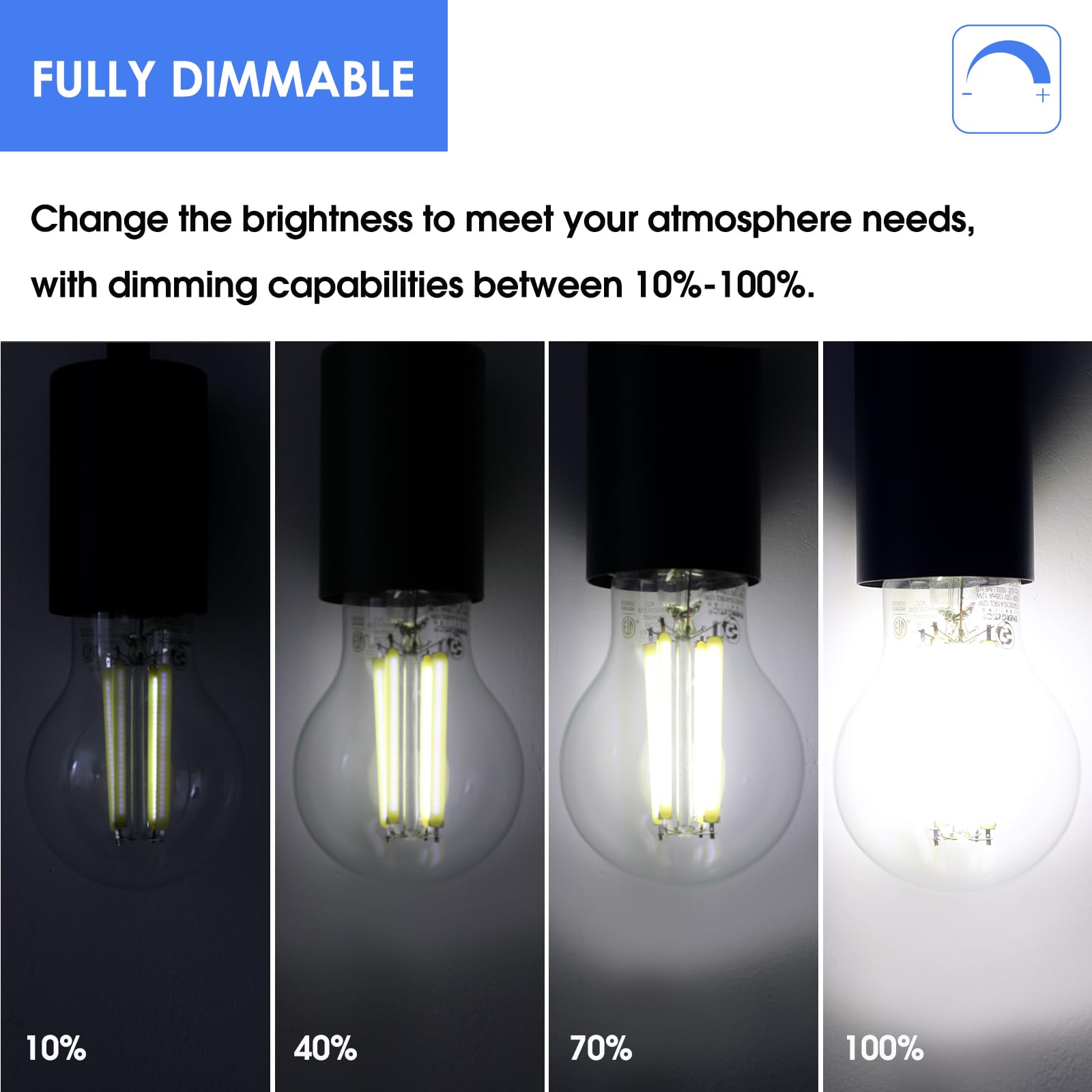 Energetic - Bombilla LED Edison A19 regulable, equivalente a 12 W, 100 W, 1600 lm de alto brillo, luz diurna 5000 K, bombilla de filamento LED transparente antigua para el hogar, baño, base estándar