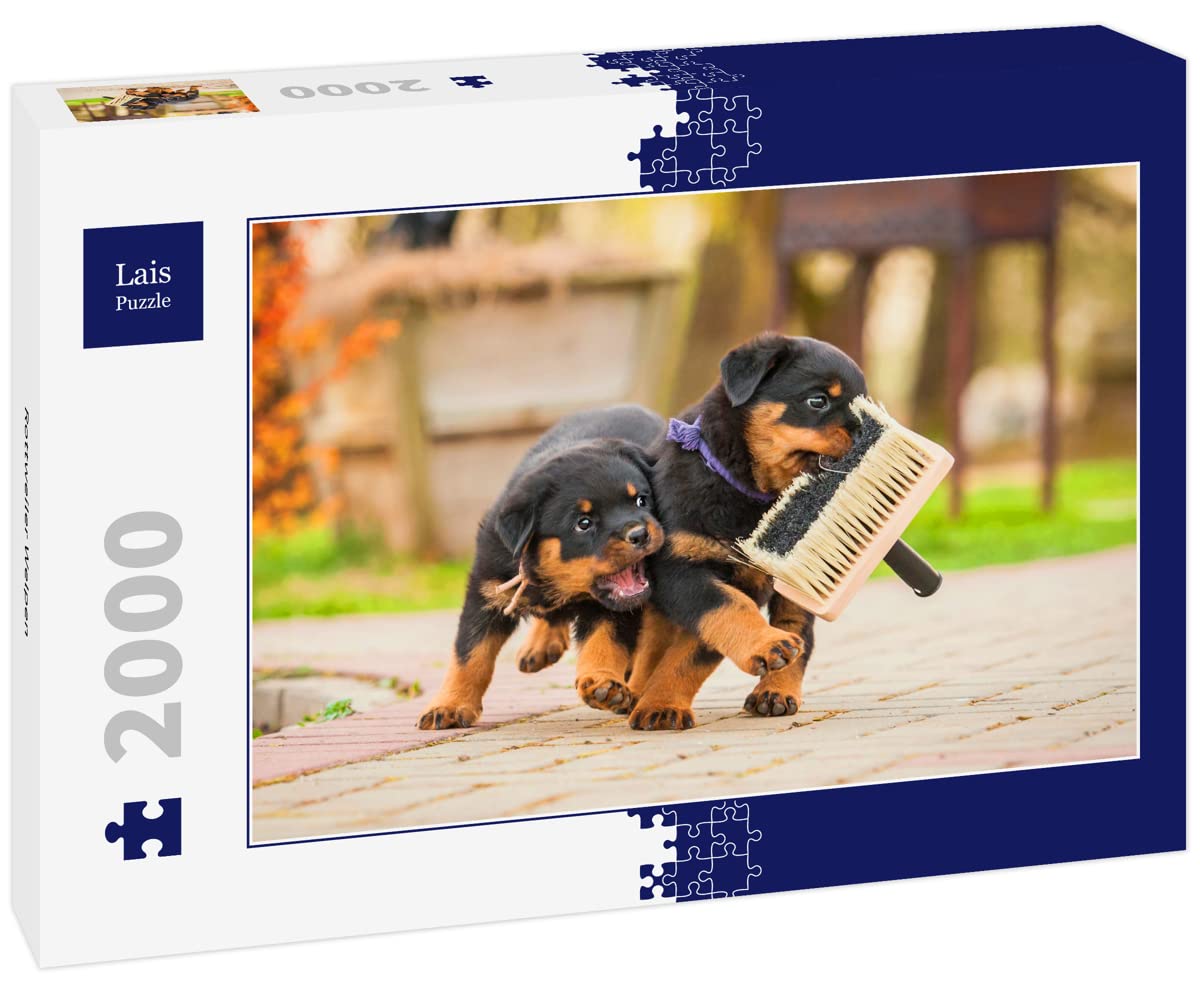 Puzzle Lais 1000 Pezzi – Rottweiler – Per Adulti E Ragazzi – Immagine Di Cane Di Razza - 3