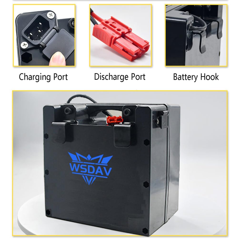 Batería para Silla de Ruedas eléctrica de 24 V LiFePO4, 24 V, 15 Ah, 20 Ah, 25 Ah, 30 Ah, 35 Ah, 40 Ah, 45 Ah, 50 Ah, 60 Ah, con Cargador.