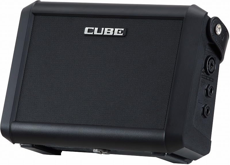 Amazon.co.jp: Roland/CUBE Street MINI Multi-Instrument Battery