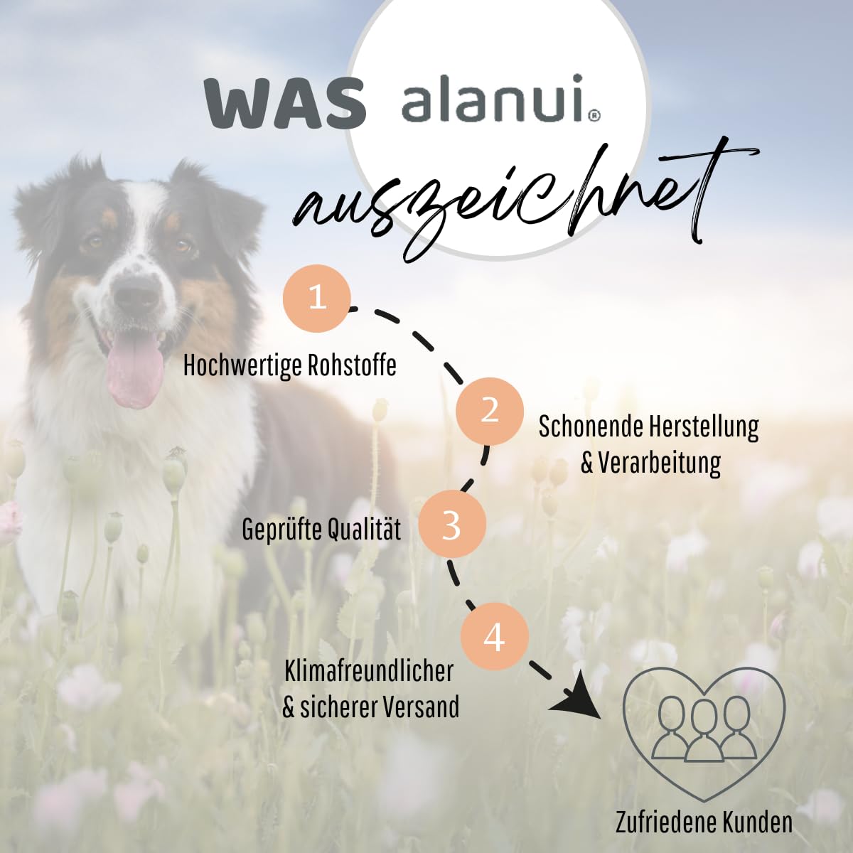 alanui Lachsöl für Hunde, 2 x 500 ml Dosierflasche