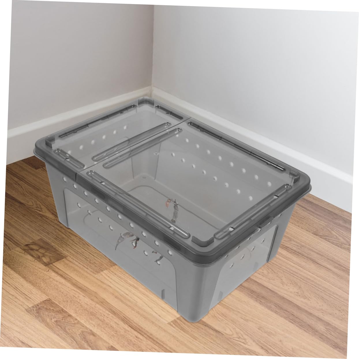 COLLBATH 6pezzi per Rettili per Allevamento Reptile per Gechi e Insetti Design e Facile e Osservare