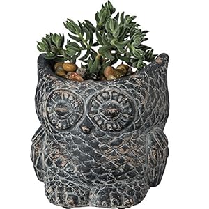   Primitives-by-Kathy-Large-Decorative-Cement-Owl-Planter