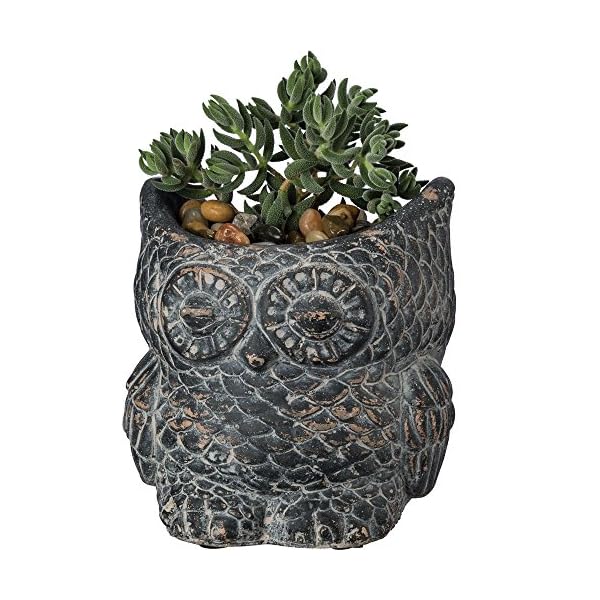   Primitives-by-Kathy-Large-Decorative-Cement-Owl-Planter