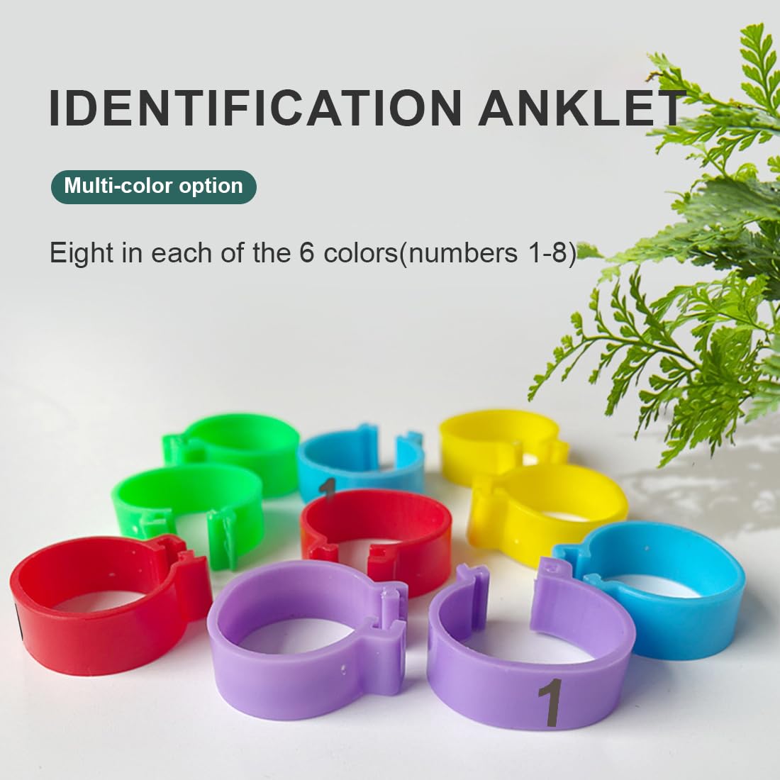 JEYORZY 48 pcs Anillos de identificación de Pollo, anillos para piernas, multicolor, numerados, 16mm