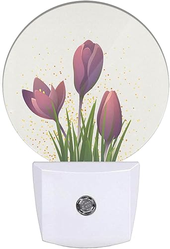 Miniatura 26 de Lámpara de luna de noche para niños y niñas, dormitorio, 0.5 W, luz tenue apta para dormir, luz gris tierra, enchufable, lámpara LED con sensor