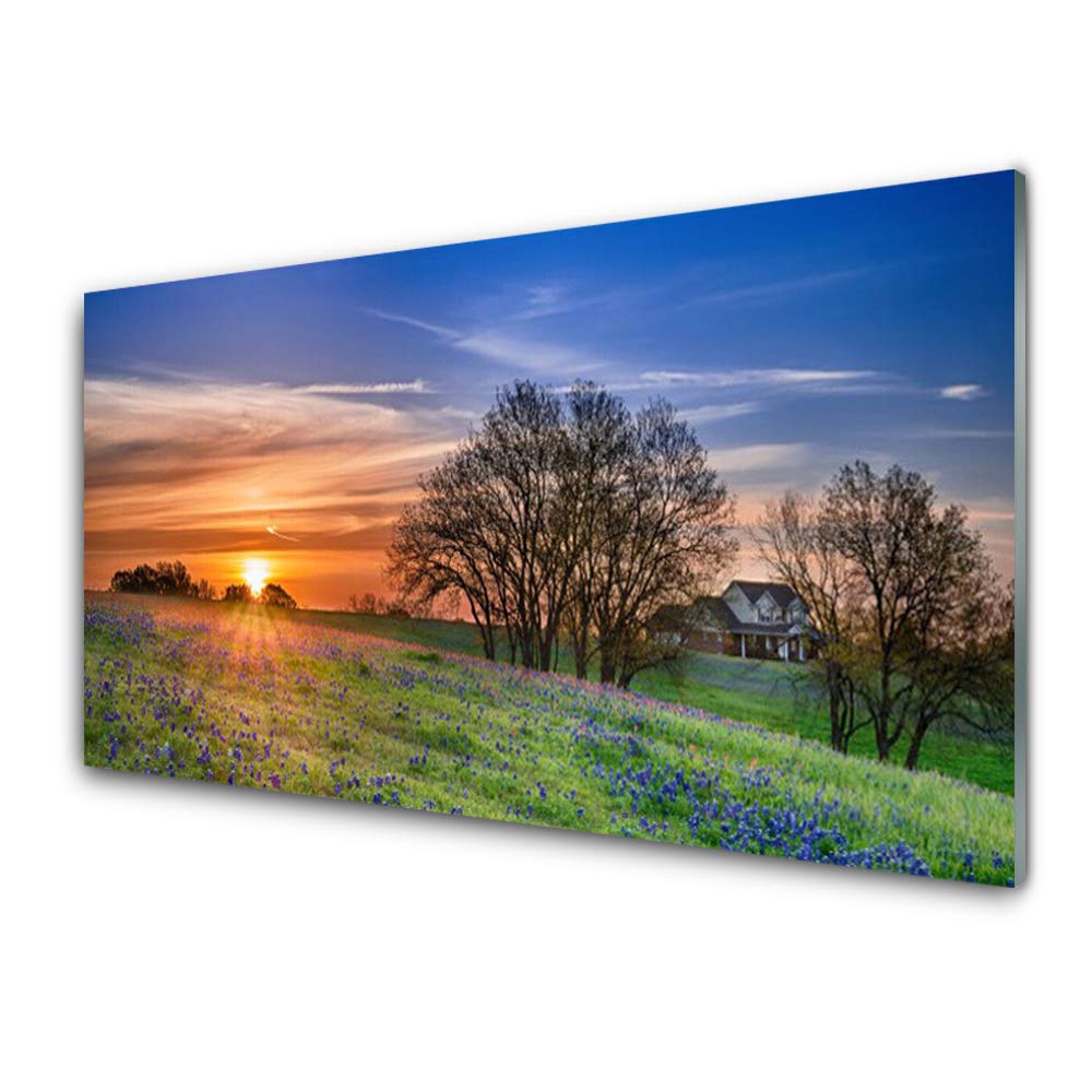 Impression sur verre trempé Tulup 100x50cm - Nettoyage facile pour tableau déco cuisine salon
