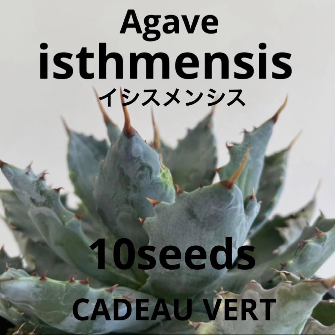 劇画ゲンダイ 1973年11月号 ジャカルの日 前編 御厨さとみ 単行本未収録 劇画ゲンダイ 1973年11月号 ジャカルの日 前編 御厨さとみ 単行本未収録