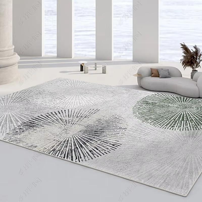 Tapis de chambre léger et luxueux 160 x 240 cm au design moderne raffiné