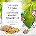 LAFEBER'S Fruit Delight Avi-Cakes Pet Bird Food, Made with Non-GMO and Human-Grade Ingredients, for Parrots (8 oz Pack of 1)