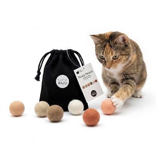 LucyBalu Bolas de Fieltro para Gatos I Juguete para Gatos