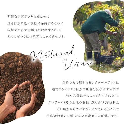 ナチュール ワイン レ ザスレット デュ ヴァン 4本セット