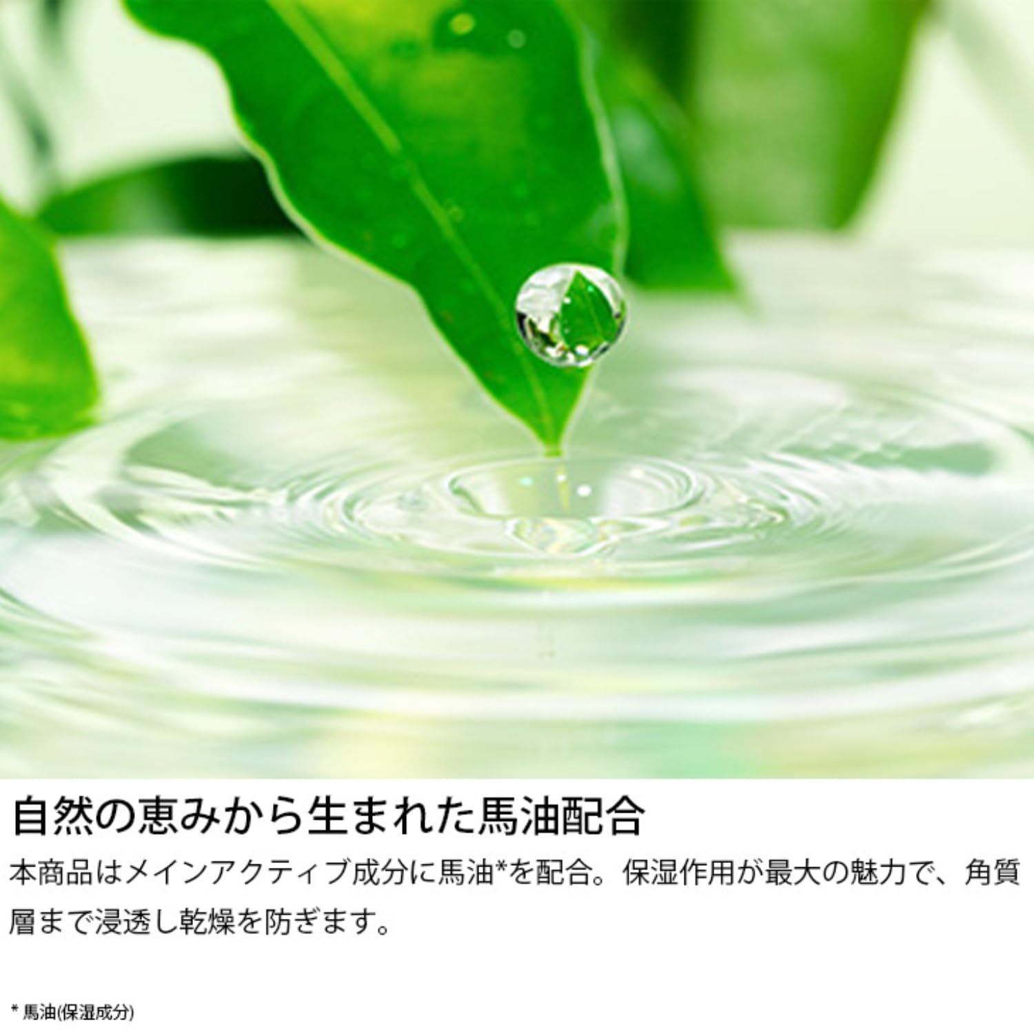 Amazon.co.jp: ESTE QUALITY 馬油フェイスマスク 50枚入り (6袋