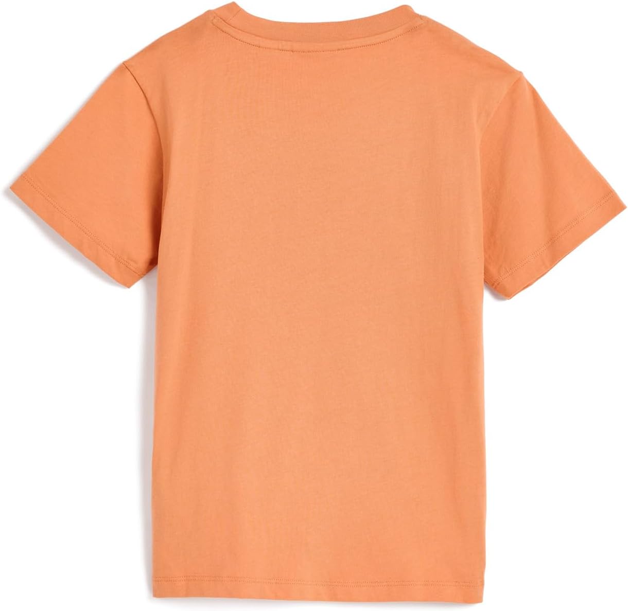 Lacoste Kids Textured Graphic T-Shirt (Big Kid)
