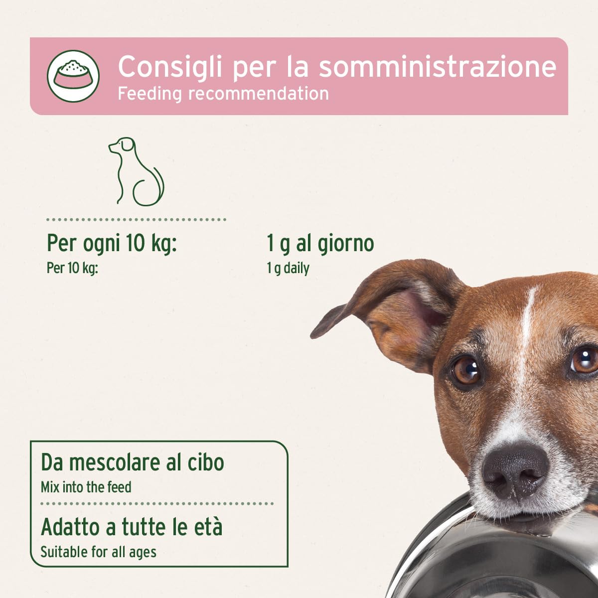 AniForte polvere per incontinenza vescicale per cani 100 g - Supporta la funzione vescicale in caso di debolezza della vescica, incontinenza, perdite urinarie e perdita di urina