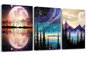 3 Pack Paint by Numbers for Adults Canvas