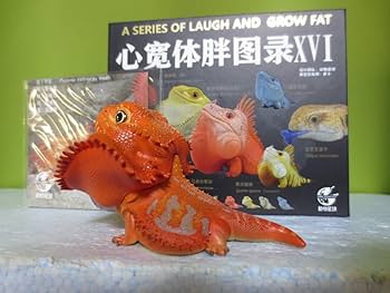 Amazon.co.jp: 動物の惑星 アニマルプラネット 爬虫類リアル