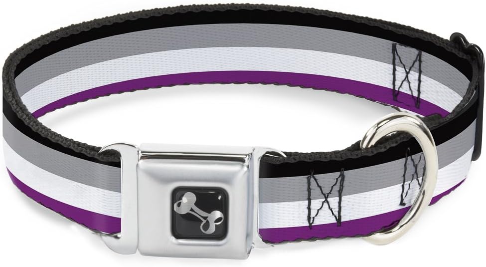 Dog Collar Seatbelt Buckle Flag Asexual Black Gray White Purple 15 to 26 Inches 1.0 Inch Wide