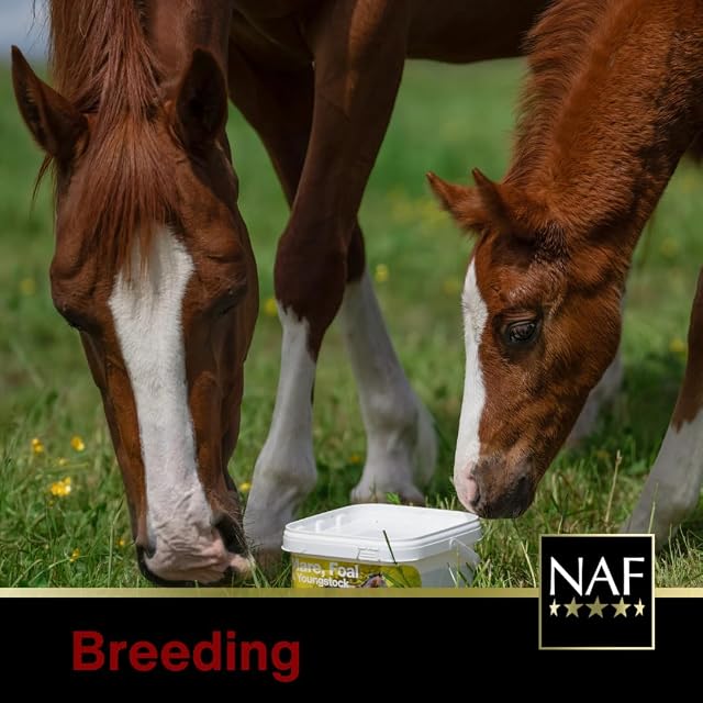 Foto 5 de 6 de NAF MARE, FOAL & YOUNGSTOCK SUPPLEMENT - 1.8 KG - NLF0370