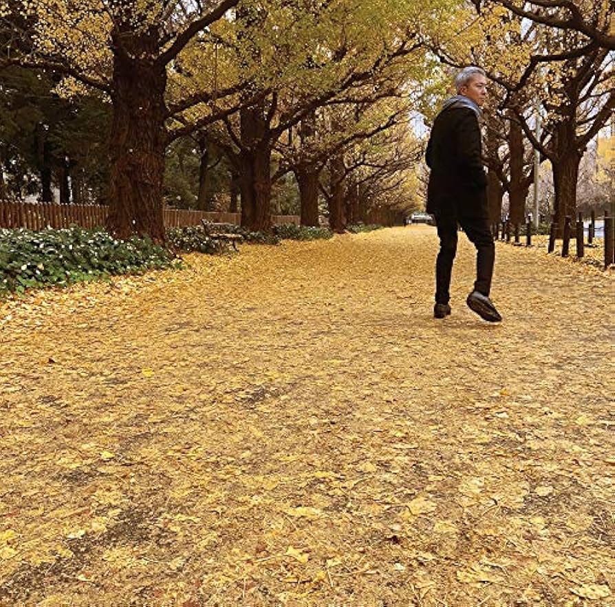 晩秋 KIYOKO HATA｜ブライダルコアときわ