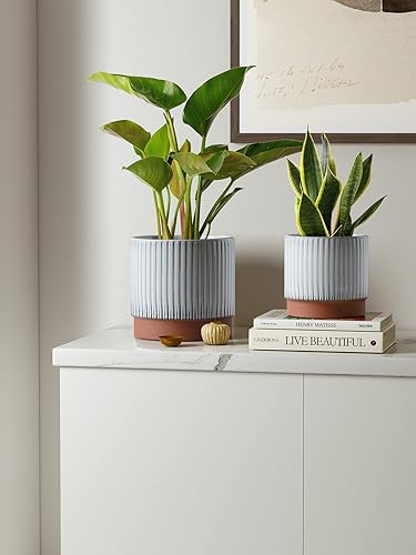 Miniatura 2 de LE TAUCI Macetas de cerámica con agujeros de drenaje, juego de 3, 8+6.5+5.5 pulgadas, macetas de jardín a rayas para plantas de interior al aire